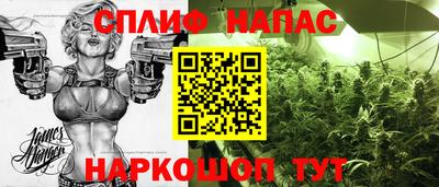 ГАЛЛЮЦИНОГЕННЫЕ ГРИБЫ Моздок
