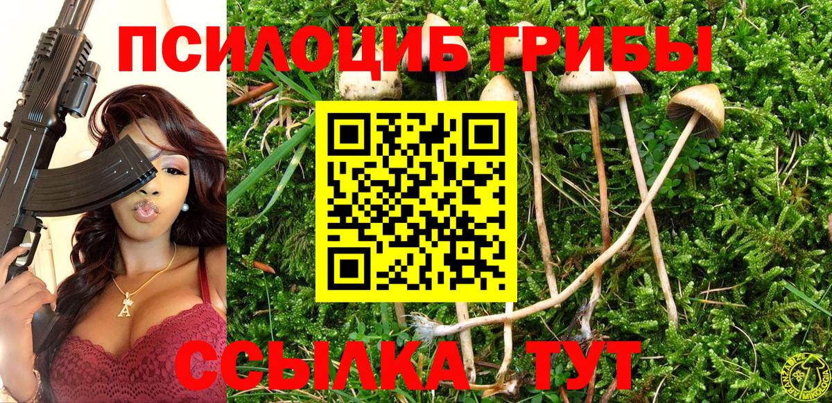 Галлюциногенные грибы Psilocybine cubensis Фрязино